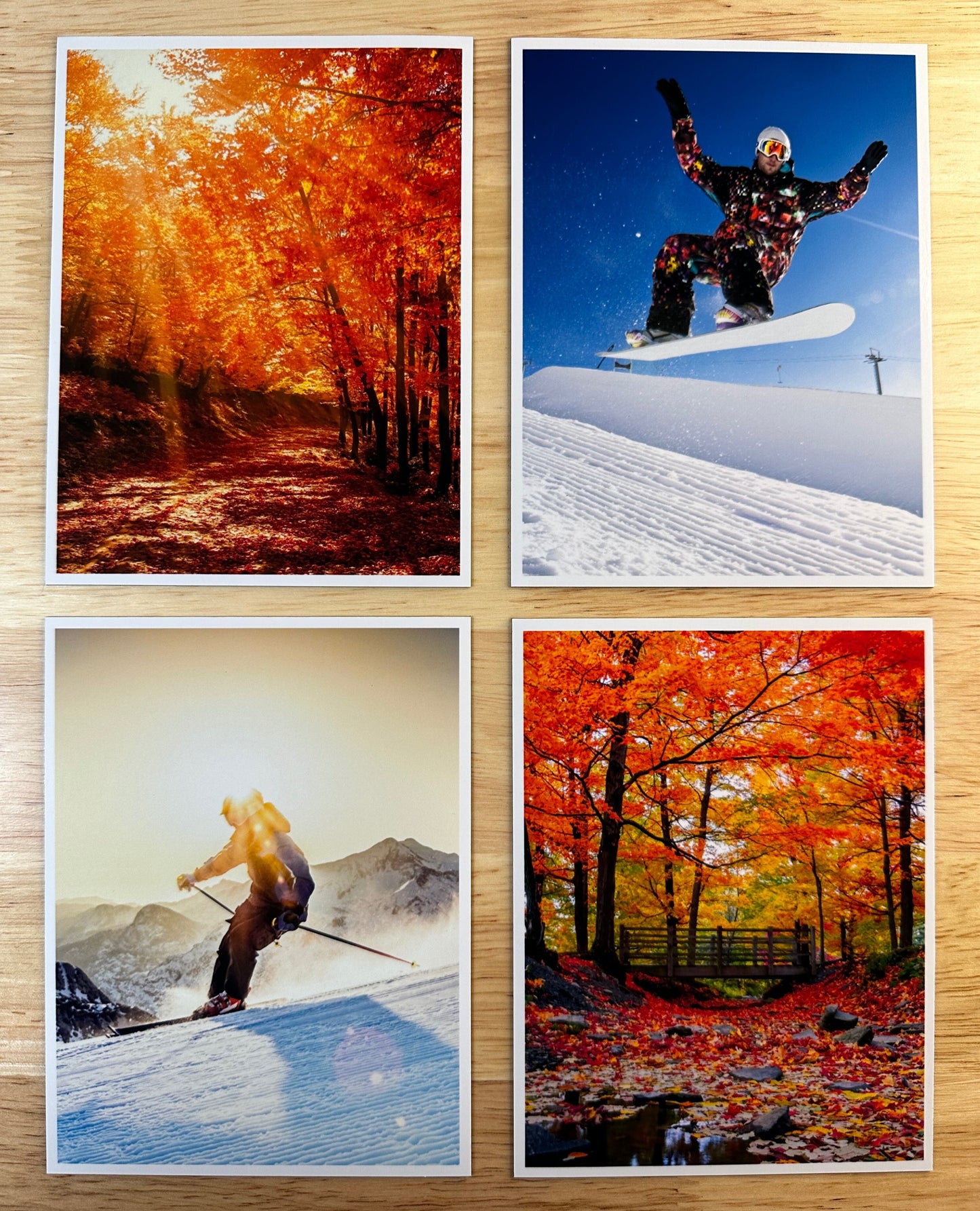 SnapMax  (set of 4 large portraits)